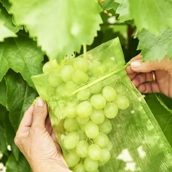 50pcs פירות הגנה שקיות הדברה נגד ציפור גן רשת תות שקיות רשת ענבים תיק שרוך מטעים לגדול שקיות