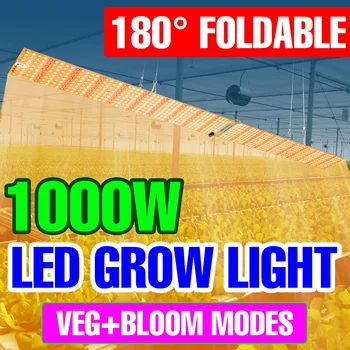 LED Full Spectrum לוח Phytolamp קוונטית לוח באור לגדול שתילים טיפוח מקורה המנורה על צמחים פרחים חממה אוהלים
