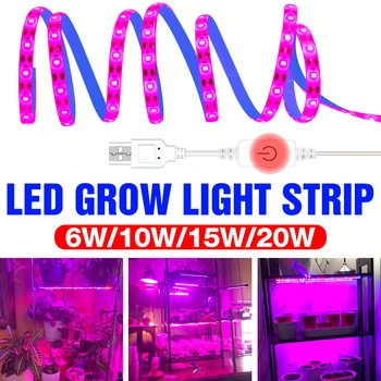 USB לגדול רצועת אור ספקטרום מלא לגדול LED מנורת 0.5 m 1m 2m 3m 2835 SMD 5V LED פיטו Led מקורה לשתול פרחים חממות