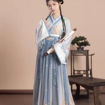 בסגנון סיני נשים אלגנטי Hanfu שמלות עתיקה מסורתית Weijin שושלת הריקוד הבמה מסיבת תחפושות פרחוני הדפסה פיות סטים